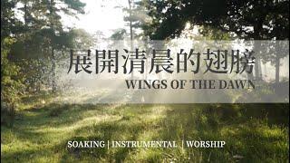 靈修音樂【展開清晨的翅膀 Wings of the Dawn】 等候神音樂  Soaking Music 鋼琴輕音樂 ｜Instrumental ｜Relaxing Sleep Music 放鬆輕音樂