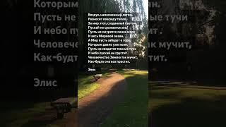 #смыслжизни #стихиожизни #стихи #судьба #мир #свет #возрождение #эзотерика