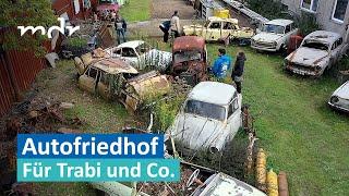 Trabi, Wartburg & Co. finden in Schwepnitz ihre letzte Ruhe | MDR um 4 | MDR