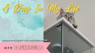 A Day In My Life | Work From Home | Dubai Living | Silent Vlog