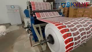 PAPER CUP BLANK CUTTING MACHINE IN DELHI | HIGH SPEED PAPER CUP METAL DIE CUTTING MACHINE | SKYLYF