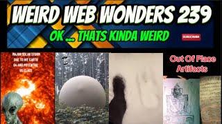 weird web wonders 239