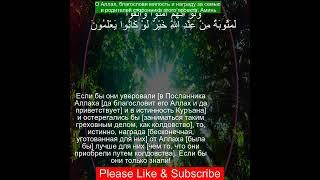 Коран Сура Худ | 11:103 | Чтение Корана с русским переводом | #quran #qurantranslation