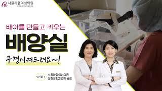 시험관아기시술 배양 과정│서울라헬여성의원 배양실 구경하세요!