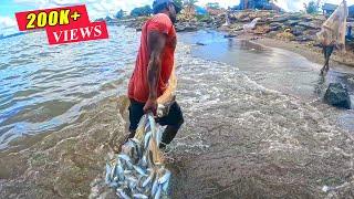 Unbelievable Fish Catch! Incredible Cast Net Fishing