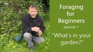 Foraging For Beginners. Episode 1. Garden 'Weeds'