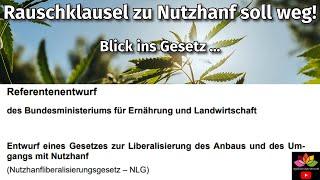 Rauschklausel bei Nutzhanf soll fallen - BMEL veröffentlicht Nutzhanfliberalisierungsgesetz (NLG)