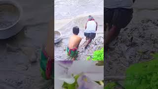 পুকুরে বড় মাছ ধরা হচ্ছে মজারের দৃশ্য Funny scene of catching big fish in the pond #fish #মাছধরা