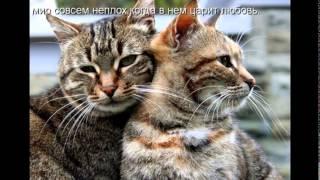 Все самое красивое и интересное