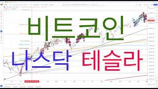 [비트코인][테슬라][나스닥] 끝날 때까지는 끝난게 아닙니다.  2025 03 11