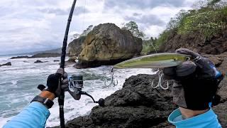 FISHING Off The Cliffs - 9 days PANAMA SURF FISHING QUEST | Episode 2