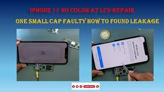 IPHONE 11 No Color on LCD Repair