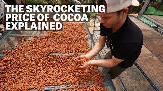 Why Is The Price of Cocoa So High? | Ep.100 | Craft Chocolate TV