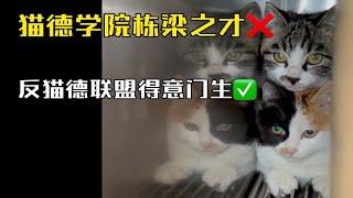 猫德学院栋梁之才（错），反猫德联盟得意门生（对）（又是挨打的一天