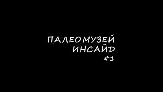 Палеомузей инсайд. Выпуск 1. Академик А.В. Лопатин об индрикотерии.