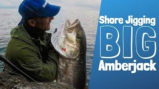 * SHORE JIGGING ITALY - MONSTER AMBERJACK / RICCIOLA *