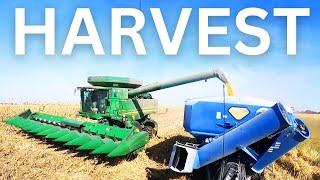 PUSHING THE END OF SOYBEANS AND ROLLING OUT OF THE CORN - Harvest 2024 Episode 9