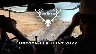 Oregon Elk Hunt 2022