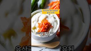 유산균과 프로바이오틱스가 많아 장건강에 최고인 음식 3가지 #유산균추천 #프로바이오틱스 #락토바실러스 #유산균이함유된음식 #장건강에최고인음식