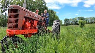 This Hay Is Ready To Cut!