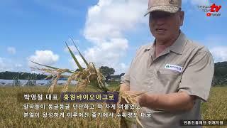 [농경과원예 친환경TV] 2022년 9월호 - 토양발효농법으로 전북 최초 벼 이모작 대풍~ 탄소중립 시대, 저탄소농업과 물 절약을 동시에 실현