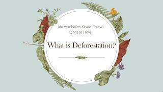 Digital Content TFI Binus - Environment: What Is Deforestation?