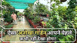 ऐसा अनोखा गार्डन आपने पेहले कभी नहीं देखा होगा, छत को बना दिया खेत  Terrace Garden