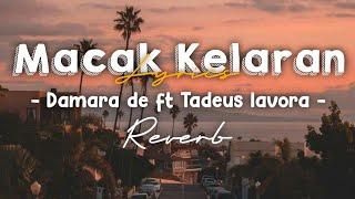 MACAK KELARAN ( lirik) - Damara de Speed Up Reverb Cover