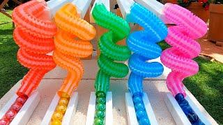 Marble Run Race ASMR Colorful Pop Tubes