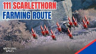 111 Scarletthorn Locations & FARMING ROUTE with Visual Detail | Wuthering Waves