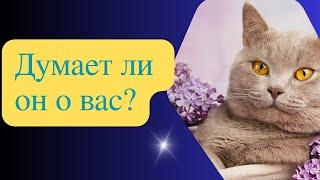 ДУМАЕТ ЛИ ОН О ВАС?