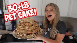 FEEDING ALL MY PETS a GIANT Birthday Cake I Made Them!