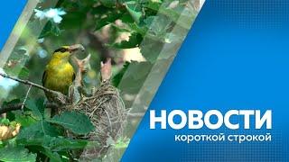 Новости короткие 04.07.2024г