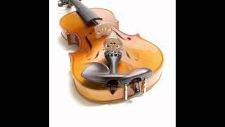 Mendini 4/4 MV400 Ebony Fitted Solid Wood Violin with Hard Case