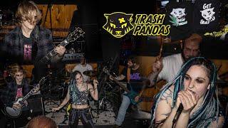 Punk Bands in Appleton - Trash Pandas, Paperboy and Bud Bands