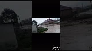Sirdaryo