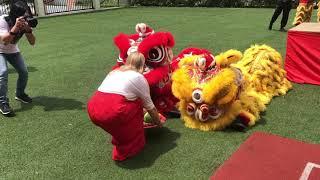 M'KIS Chinese New Year Lion Dance 2019