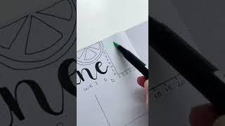 Bullet journal with me 