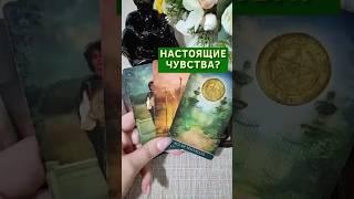 ️ Есть ли у него настоящие чувства? Таро расклад. ТАРО. Магия слова.