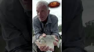 Piranha Bites Through Steel! | #Shorts | PIRANHA |  River Monsters