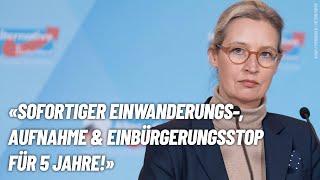 Sofortiger Einbürgerungs-, Aufnahme- und Einwanderungsstop für 5 Jahre!