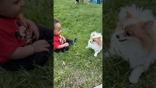 Is Taavi A Dog Lover? #baby #puppy #dog #dogs #love