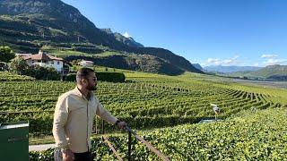 Apple orchards at the highest elevation in Bolzano Italy