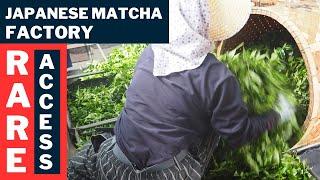 RARE ACCESS! Footage of our Uji matcha production process