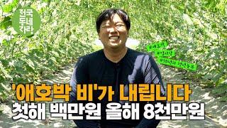 [전국동네자랑 #71] 부모님 반대에도 24살에 공부 대신 선택한 농사, 어엿한 10년차 농부 #엄지상 #애호박 #유기농 #화천군