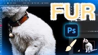 Free Fur Brush Pack by TsfAbr Photoshop Tutorial