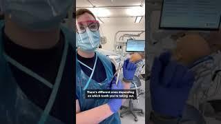 How do dentists extract a molar tooth?