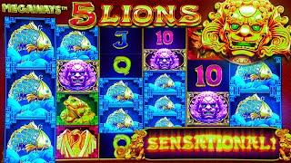 WORLD RECORD WIN on NEW 5 Lions Gold Megaways Slot?