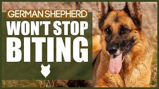 How To Stop Your GERMAN SHEPHERD BITING