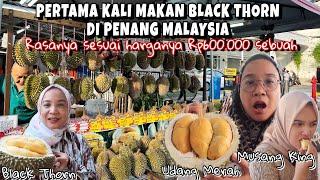 PESTA DURIAN DI MALAYSIA & AKHIRNYA DAPAT BLACK THORN & MUSANG KING